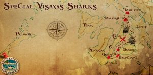 Diving liveaboard philippines destination visayas sharks