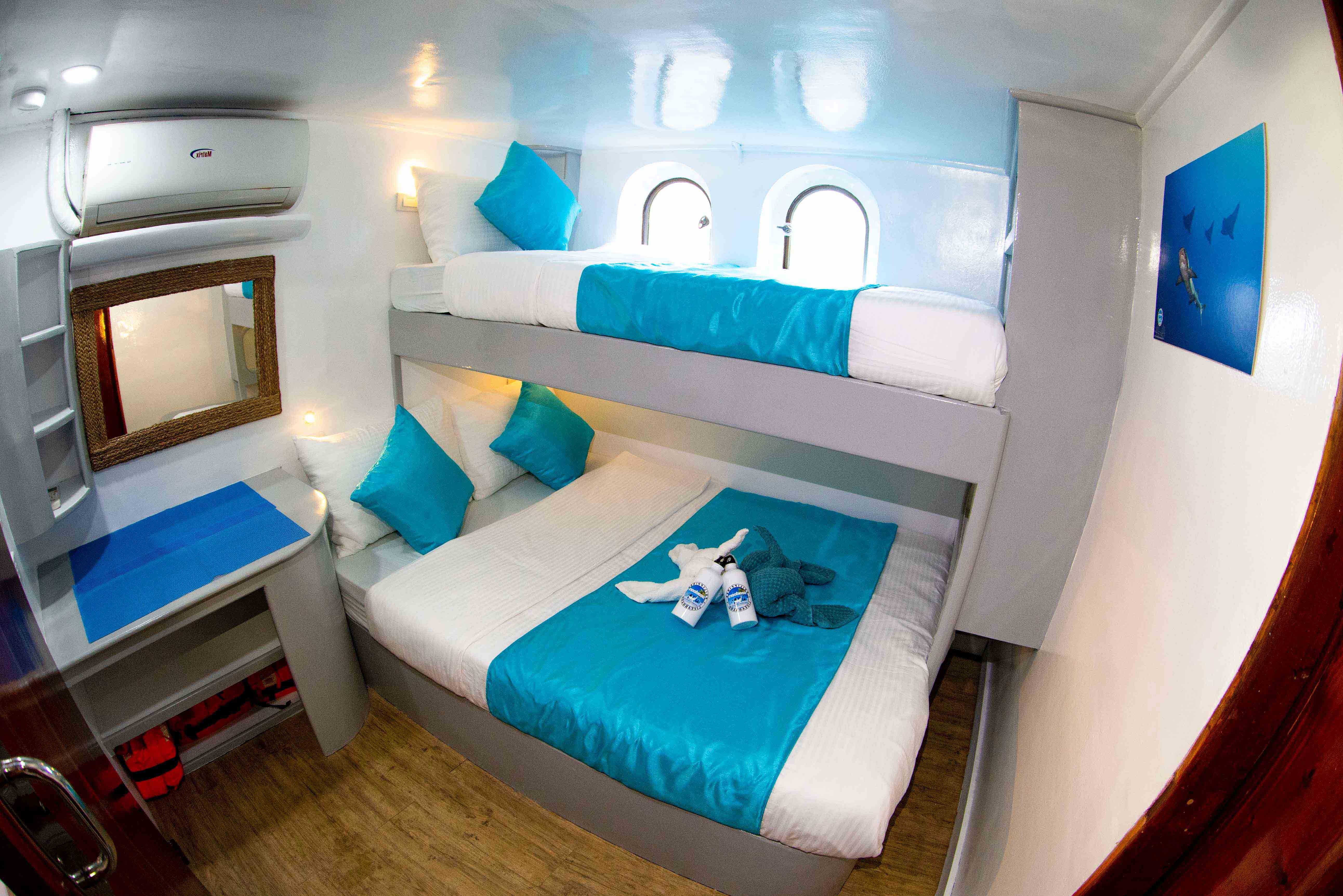 Seadoors liveaboard standard cabin